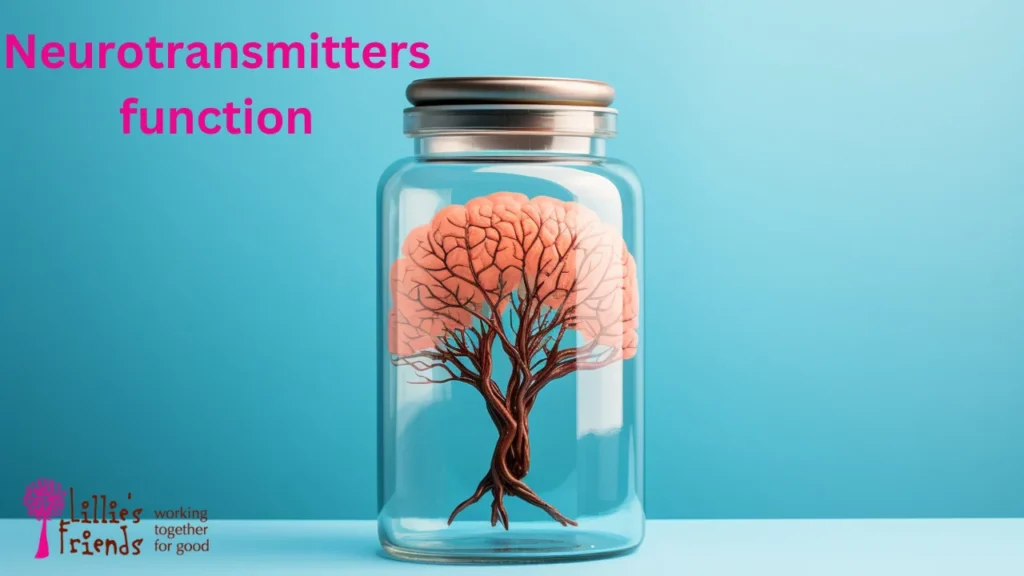 Neurotransmitters function